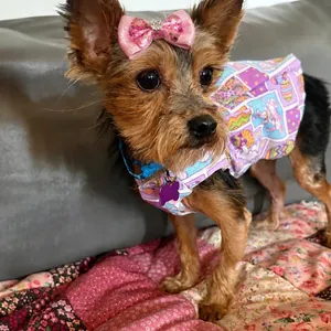 Ruby aka Little Miss Firecracker