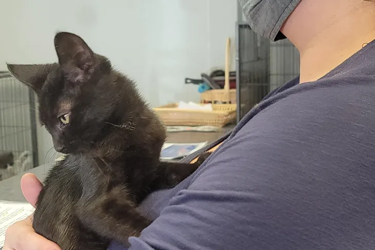 Humane Society of Cowlitz County