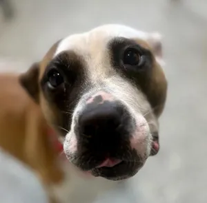 Marnie