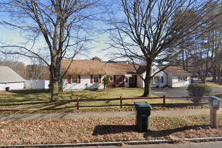 Dog Adoption Network