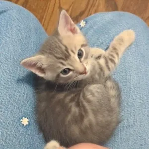 Marley