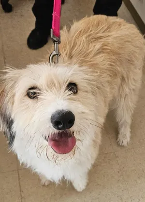 Winnie