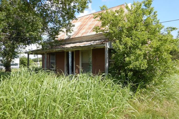 Temple Animal Shelter