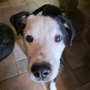 Jack