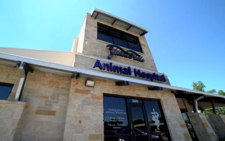 13 Best Vets In Oklahoma City