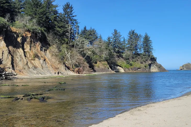 Friends of Coos County Animals