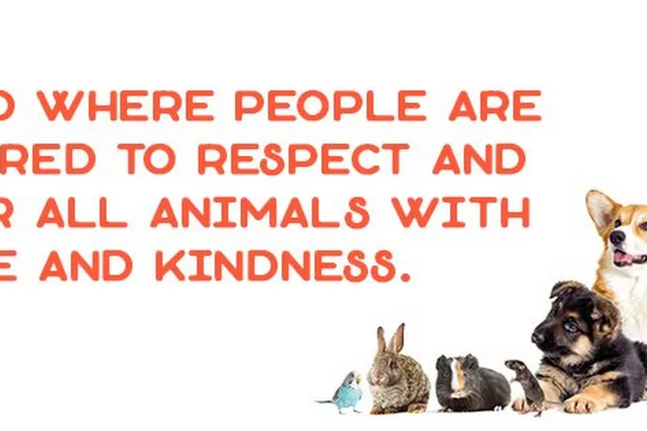 Animal Rescue League of Berks County
