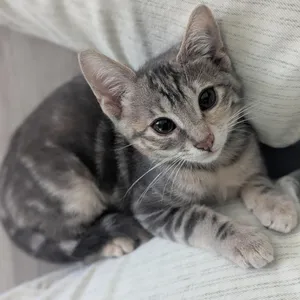 Tilly
