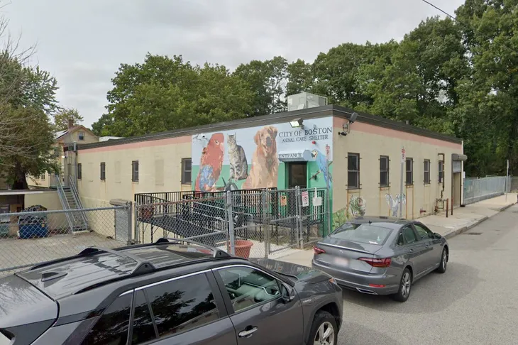 Roslindale Animal Control
