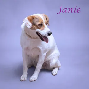 Janie D26-137