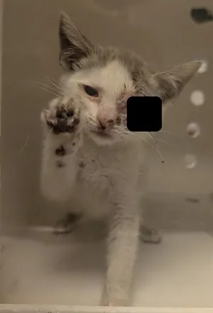WINKY - IN FOSTER
