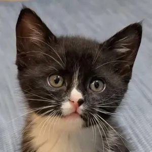 Marigold **Off-Site Foster Home**