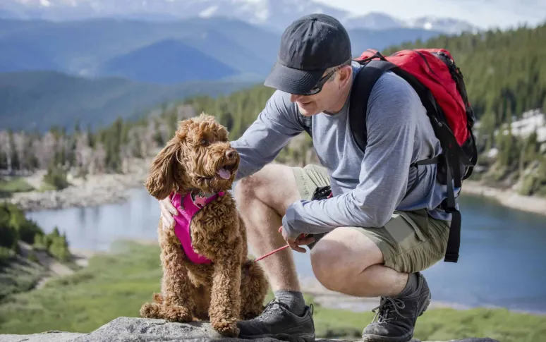 10 Tips Ensure A Wonderful Travel With Your Dog