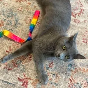 Tuck