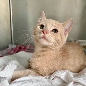 Winnie