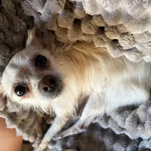 Winnie