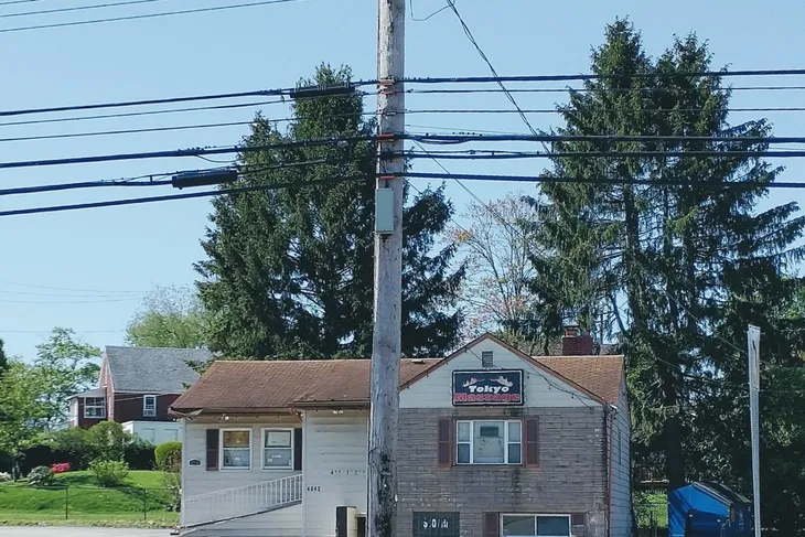 Animal Control Monroeville Borough