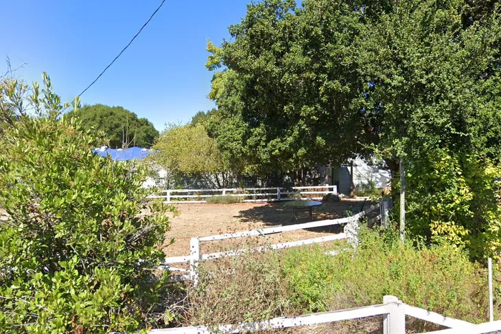 Bird Rescue Center