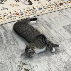 Maggie