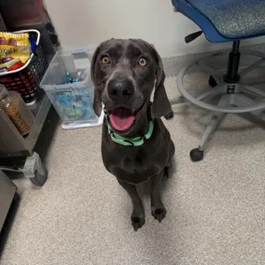 Oakley