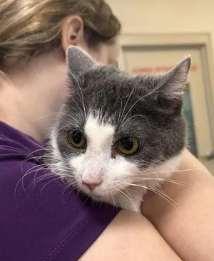 Dottie (at Smitten Kitten)