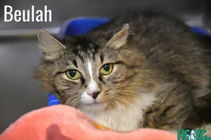 Beulah