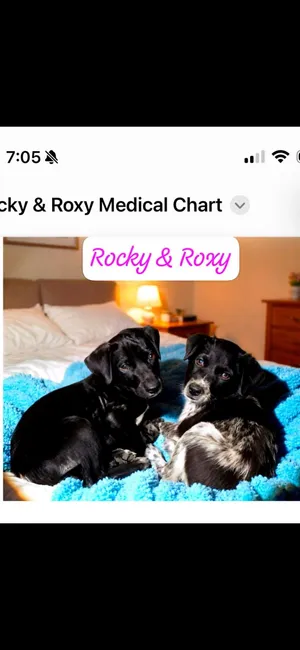 Roxy