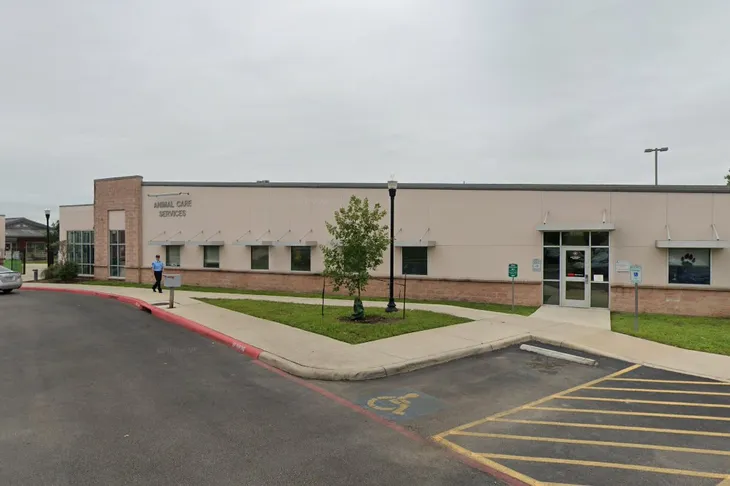 San Antonio Animal Control