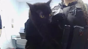 BLACKIE