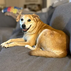 Walter