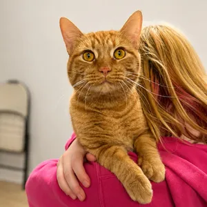 Cheeto