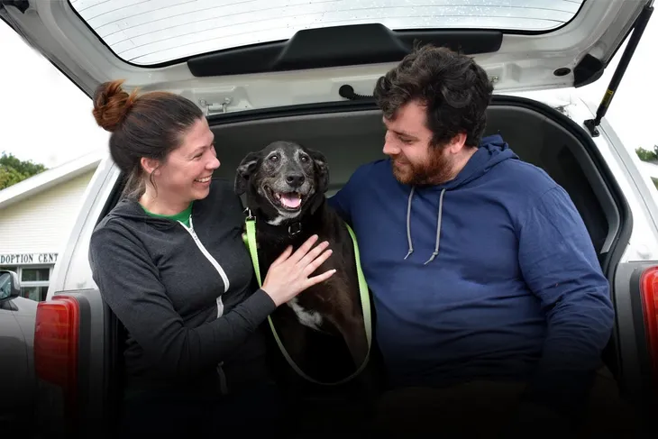 New Hampshire SPCA
