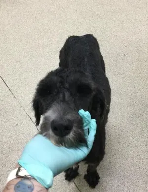 MATILDA