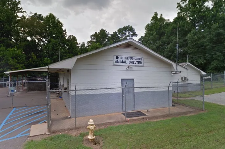 Rutherford County Animal Control