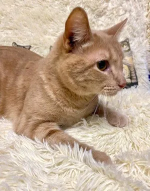 Alejandro