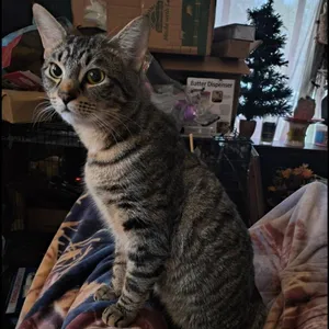 Sebastian