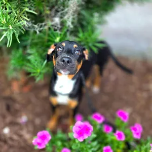 Zoe