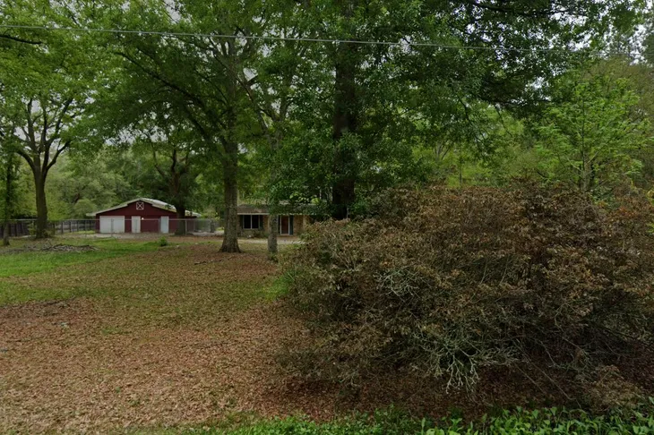 Collie Rescue of South Louisiana, Inc.