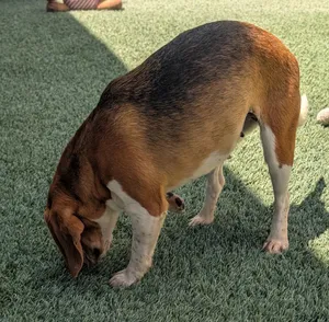Matilda