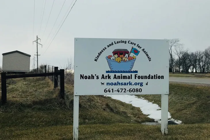 Noah's Ark Animal Foundation