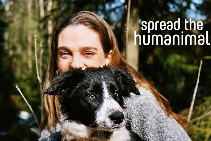 SPCA Tampa Bay