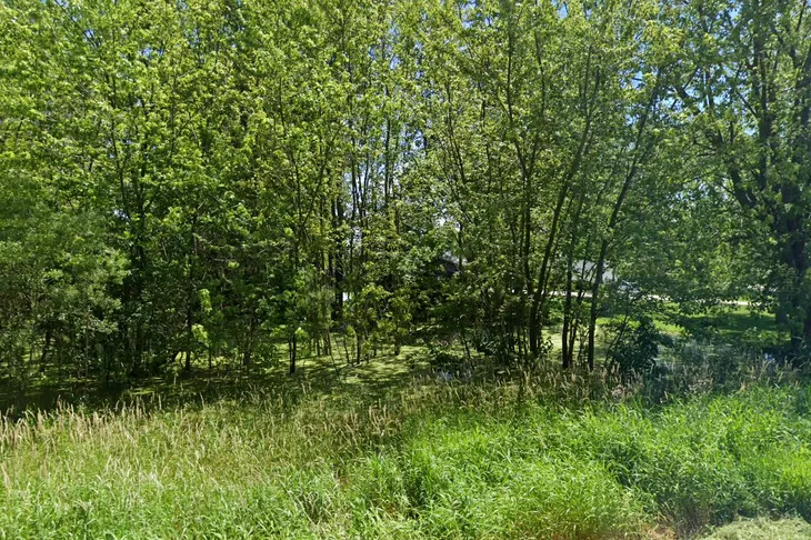 Humane Society of Ottawa County