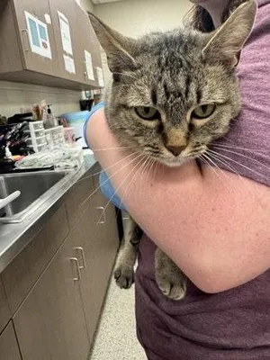 Fergie (at Smitten Kitten)