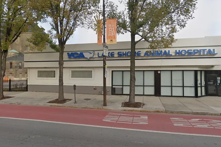 Lake Shore Animals Foundation