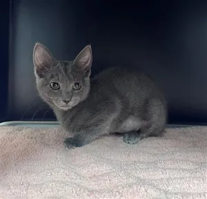 WINNIE