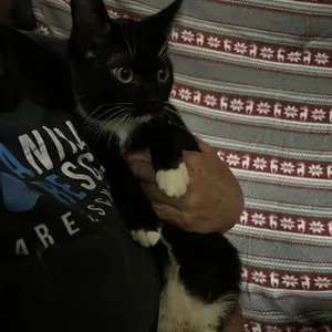 Jefferson