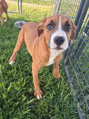 Duncan