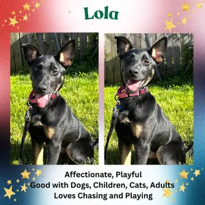 Lola