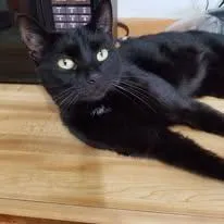 Oliver