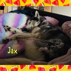 Jax